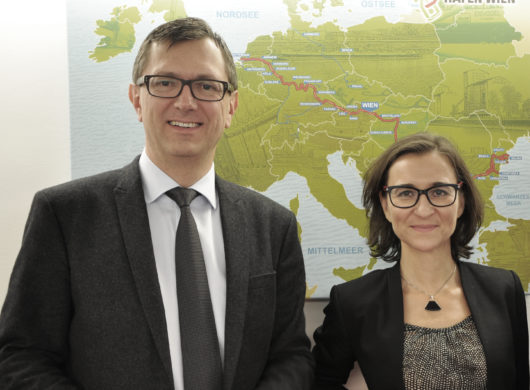 No Go Schockstarre – Die Grundversorgung im Flow
