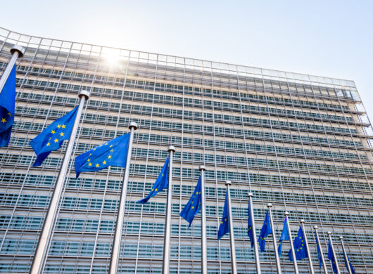 Brüsseler Spitze Direkt